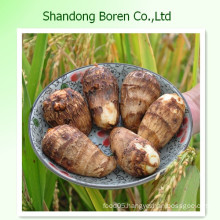 Hot Sale Fresh Taro From Shandong